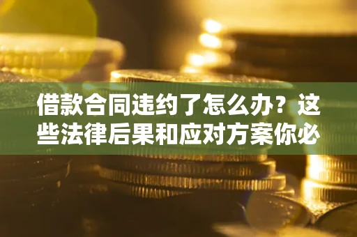 武汉借款合同违约了怎么办？这些法律后果和应对方案你必须知道