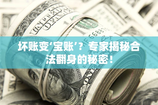 武汉坏账变‘宝账’？专家揭秘合法翻身的秘密！