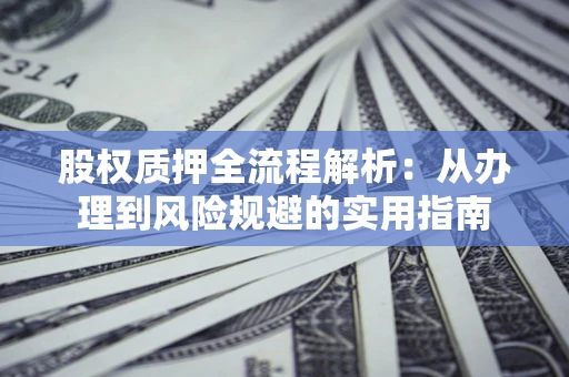武汉股权质押全流程解析：从办理到风险规避的实用指南