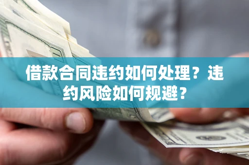 武汉借款合同违约如何处理？违约风险如何规避？